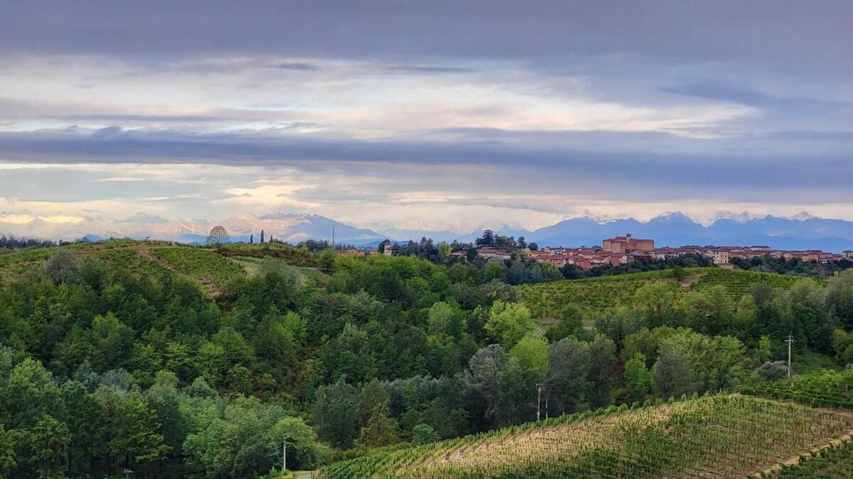 Buta - Vino, Colline E Tramonti Mozzafiato Apartment Castagnole Monferrato Luaran gambar